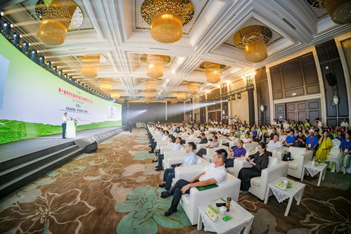 2024四川自貢榮縣國(guó)際陶茶文化藝術(shù)活動(dòng)周開幕，共促文化交流與產(chǎn)業(yè)發(fā)展