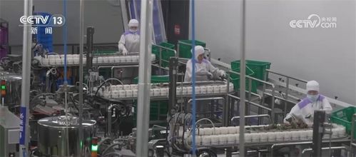 口味升級 跨界 上新 海外 出圈 舌尖上的 端午經(jīng)濟(jì) 釋放消費活力